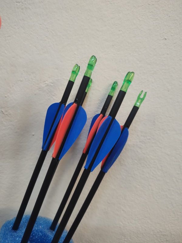 6 Flechas de carbono