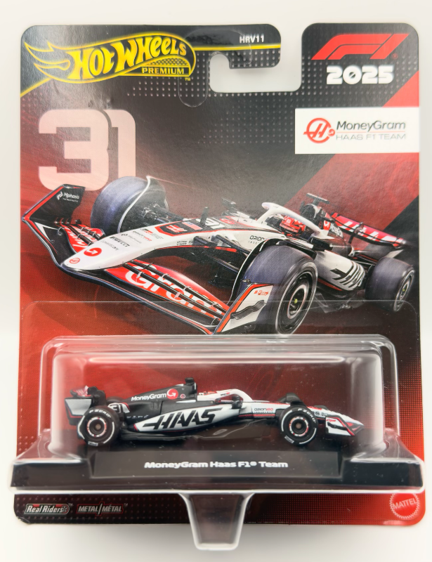 MoneyGram Haas F1 Team #31
