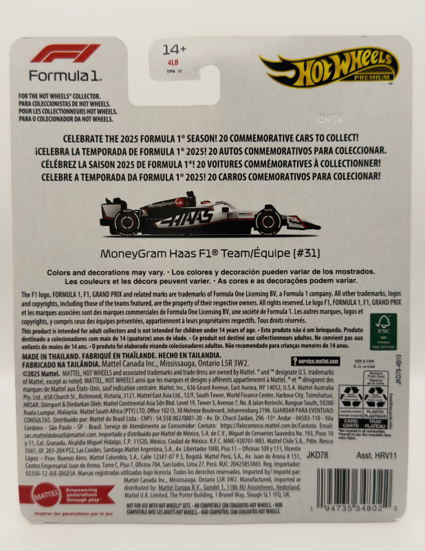 MoneyGram Haas F1 Team #31