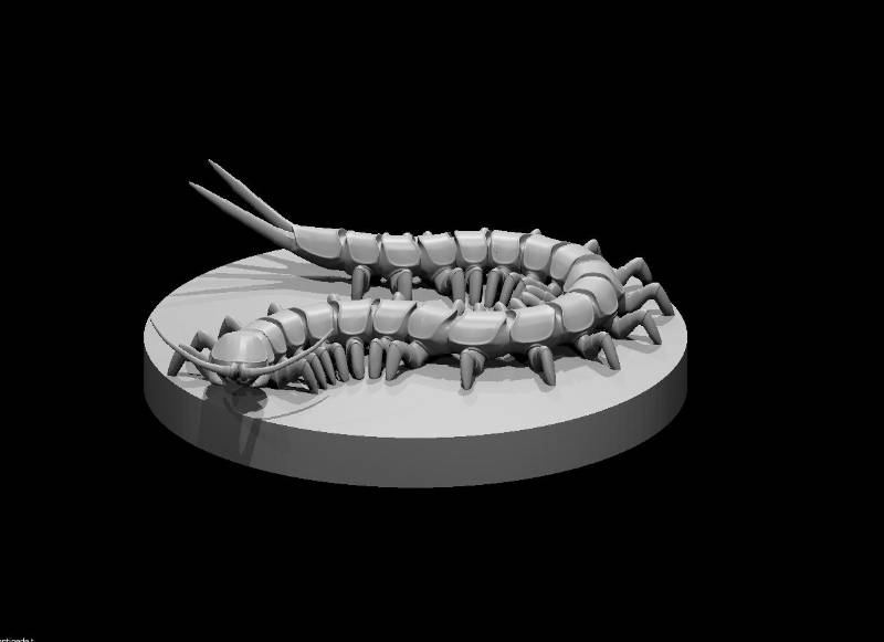 Centipede