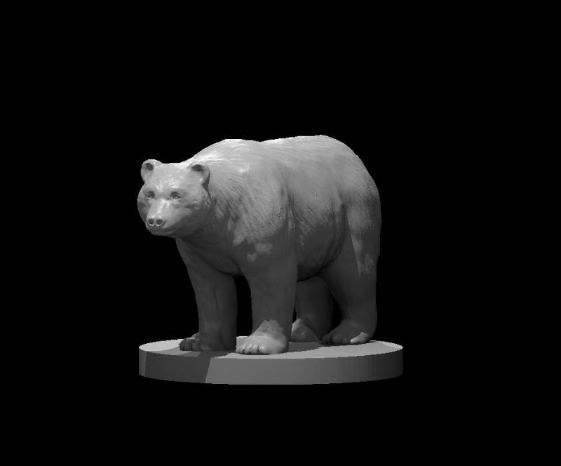Bears