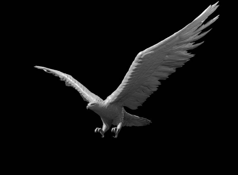 Eagles