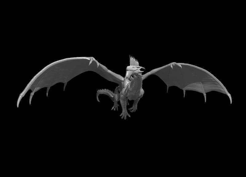 Silver Dragons