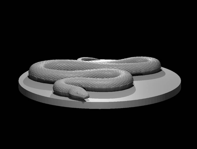 Snakes