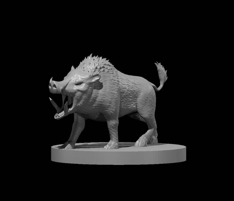 Boars