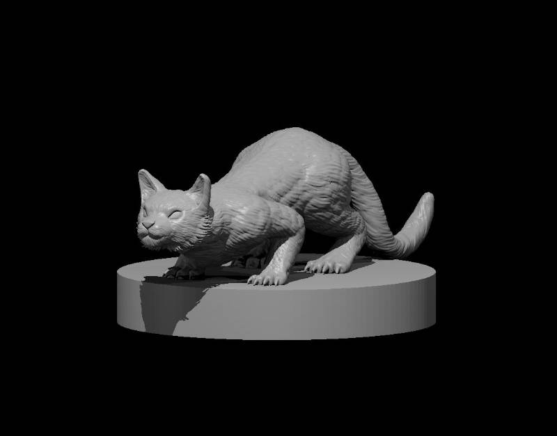 Cats