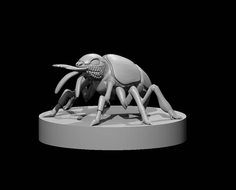 Fire Beetle