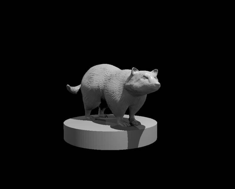 Badgers