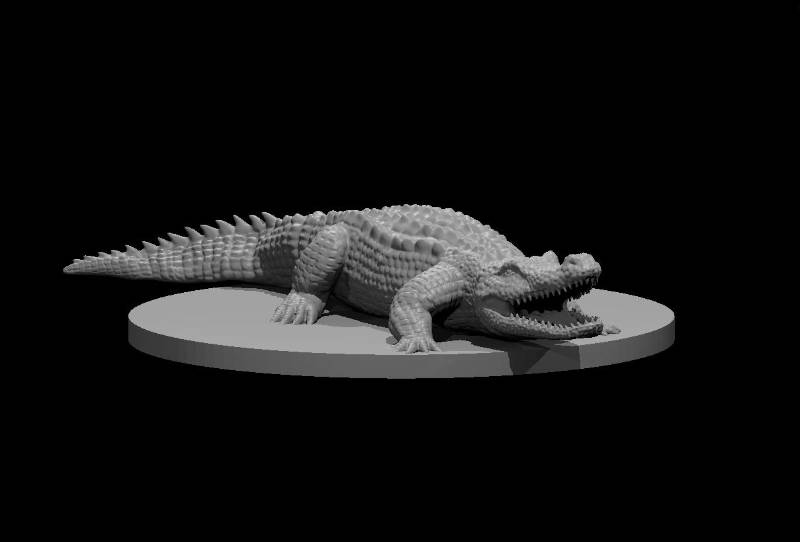 Crocodiles