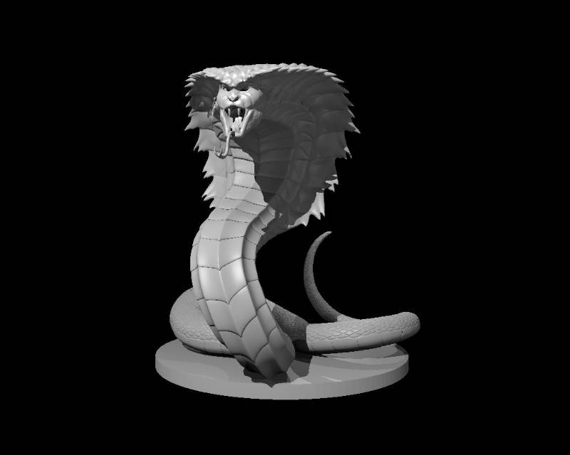 Nagas
