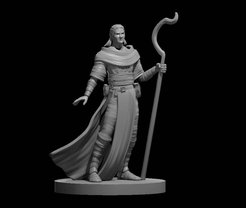Druid