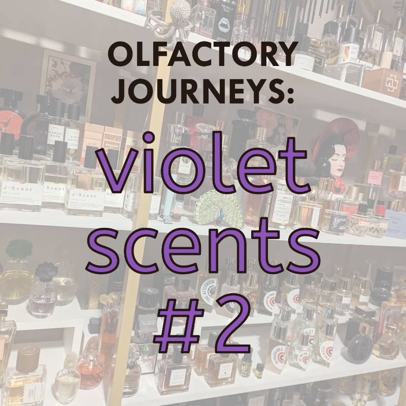 Olfactory Journeys: Violet Scents #2 - Sample Set of 6