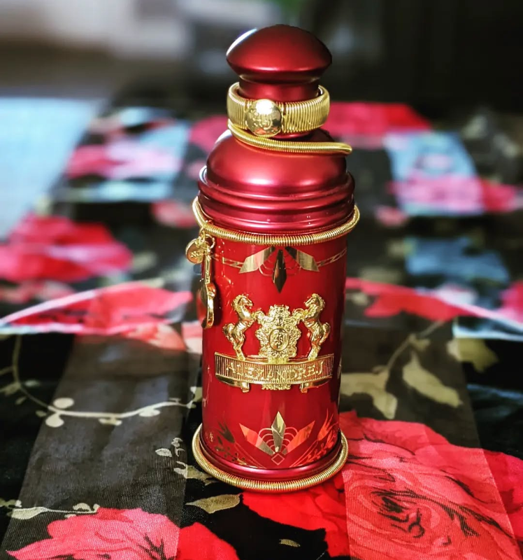 Alexandre J - Rose Alba EDP