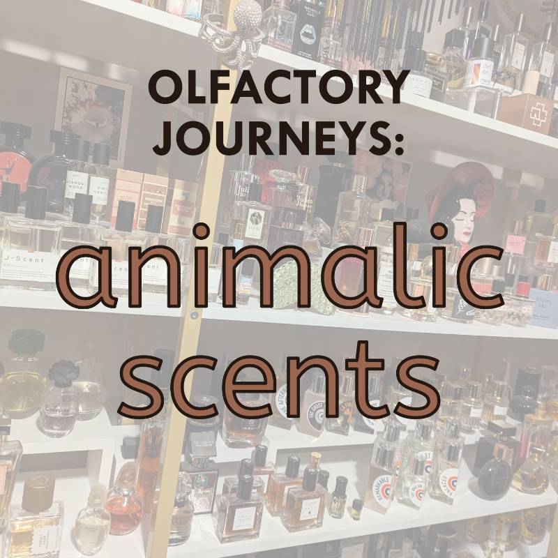 Olfactory Journeys: Animalic Scents - Sample Set of 5