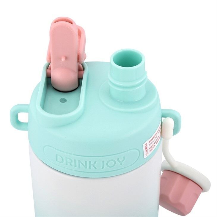580ML Gradient Colour 316 grade stainless steel water bottle Double-wall vacuum insulation Water Bottle Pastel + Straw + Strap (XB-23114)