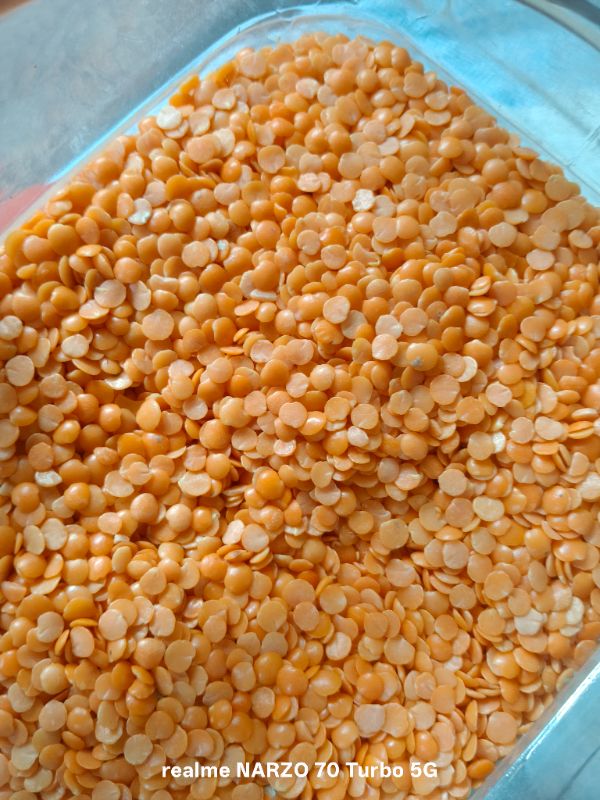 masoor dal