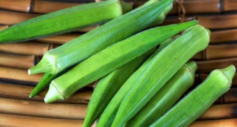 Okra / Bhendi