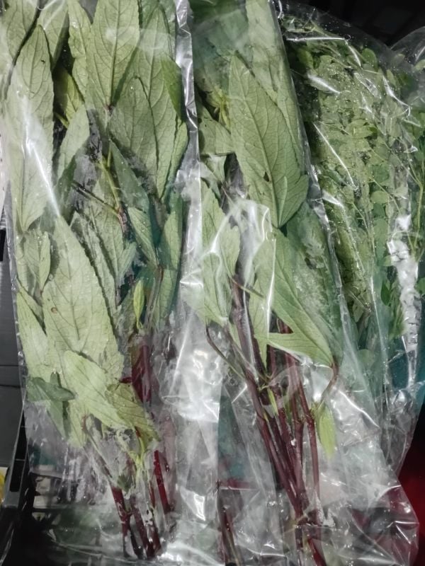 Gongura / Okra leaves