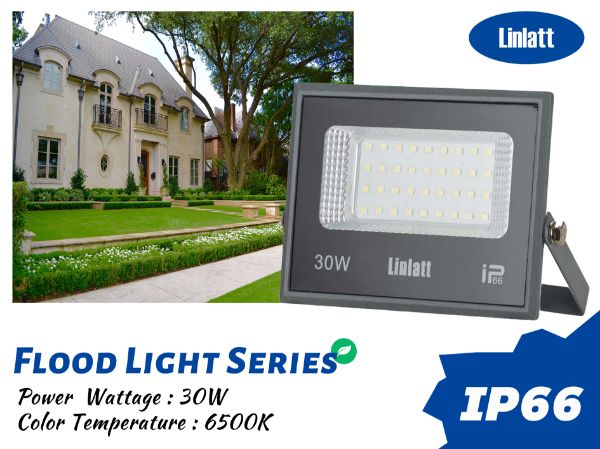 30W Flood Light အဖြူ လင်းလက်