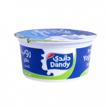 Dandy Yogurt 170G – داندي Yogurt 170 غرام
