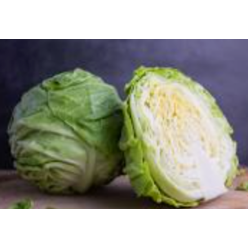 Repollo Blanco