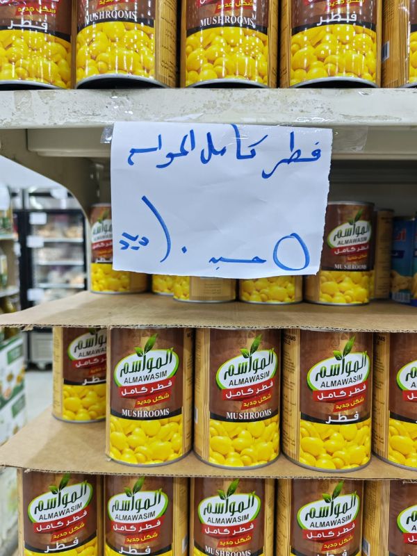 ذرة حلوة - المواسم- 5 حبة