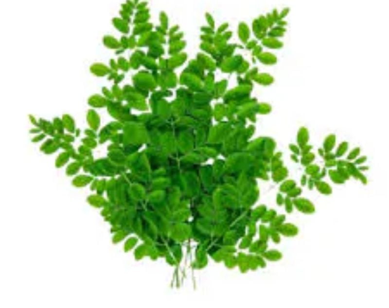 Drumstick leaves/packet