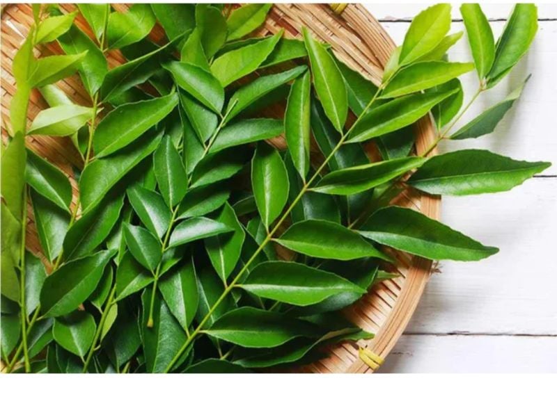Curry Leaves 50 gm