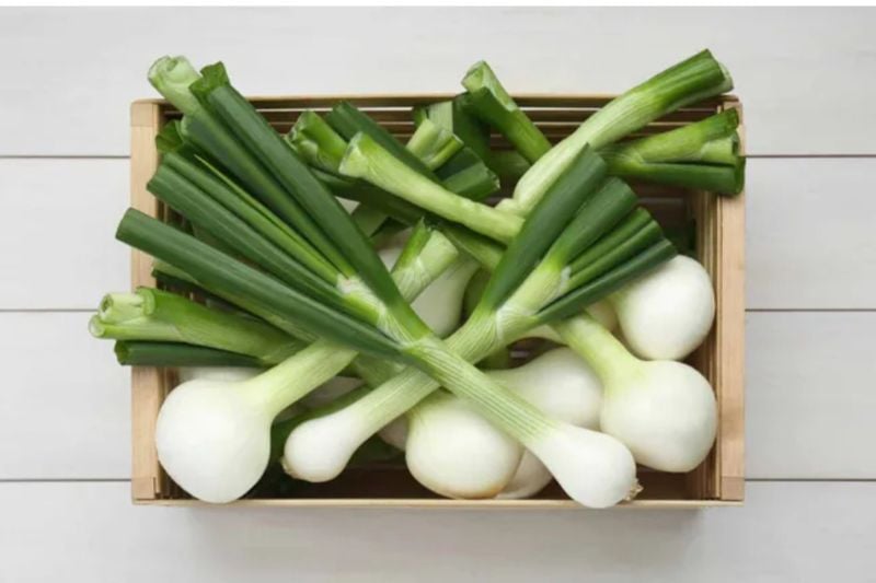 Spring Onion 1 bunch