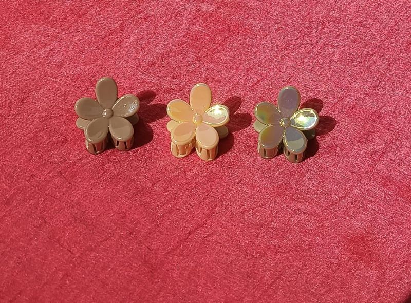 Mini Claw Clip (Pack of 3)