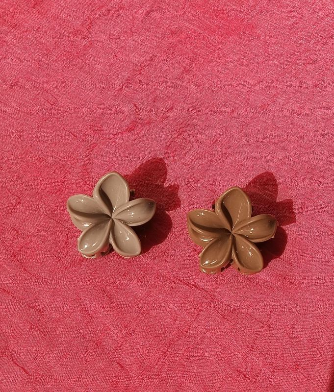 Mini Claw Clip (Pack of 2)