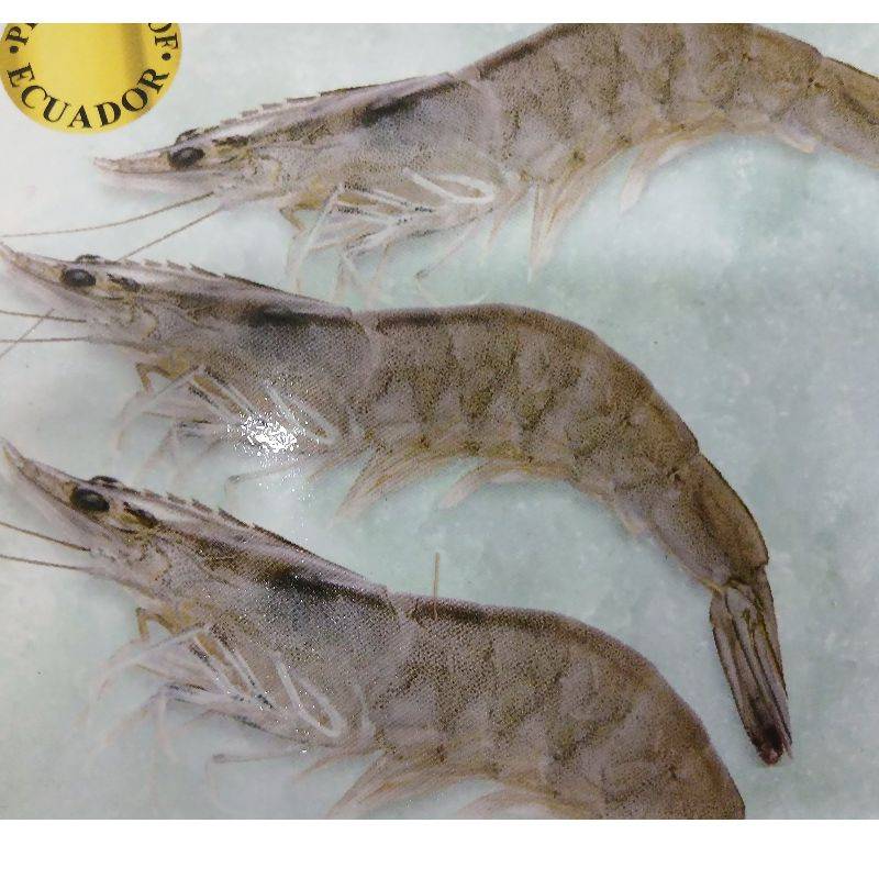 prawns King Frozen Fish