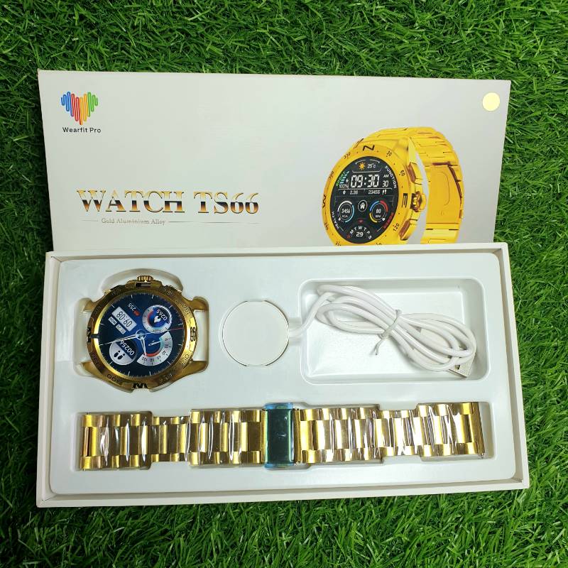 Golden Watch TS66