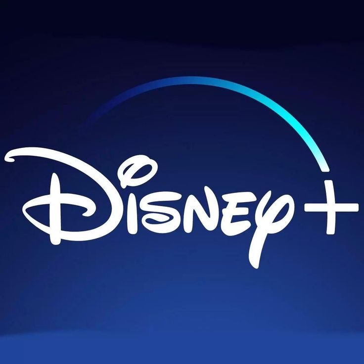 Disney plus 12 mois
