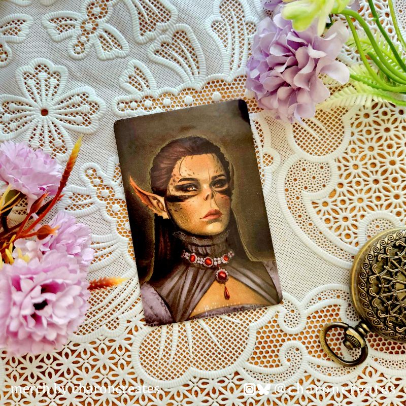 BG3 Renaissance portraits PC