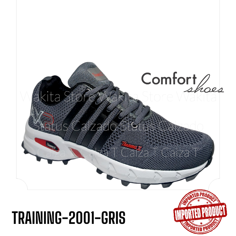 TRAINING-2001-GRIS