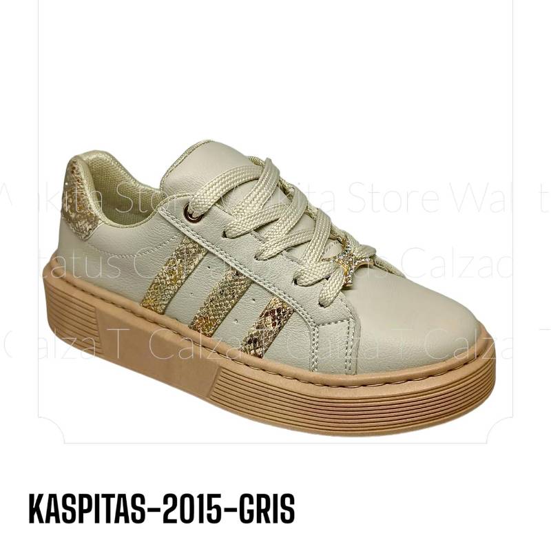 KASPITAS-2015-GRIS