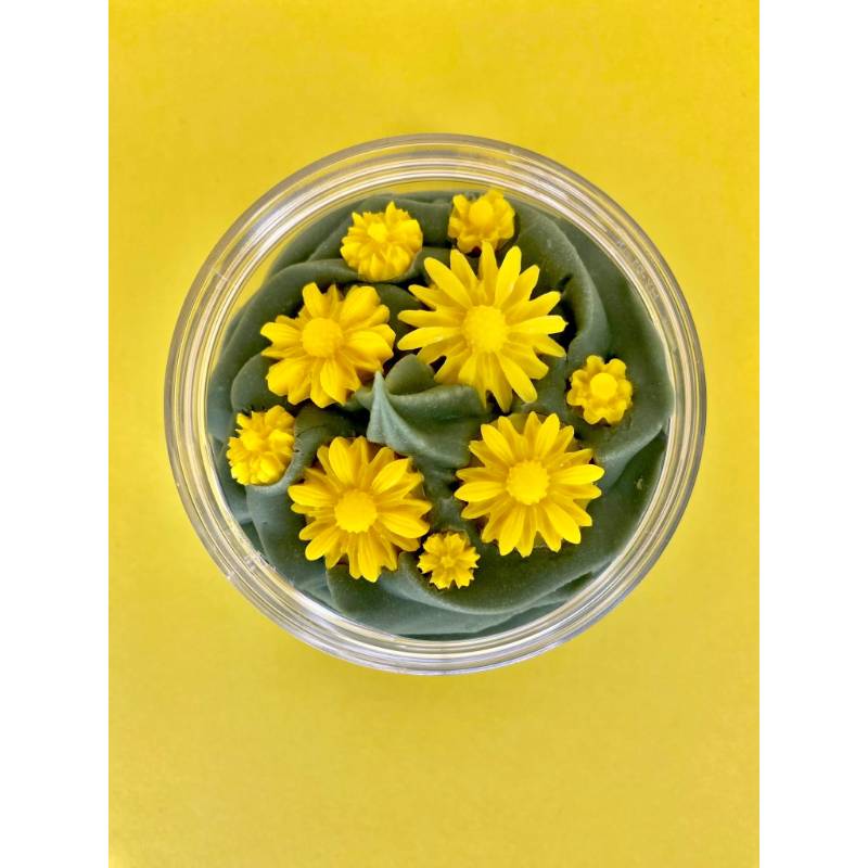 Le Tournesol