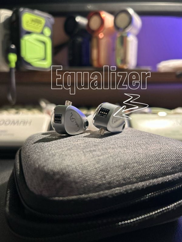 KZ Castor Pro