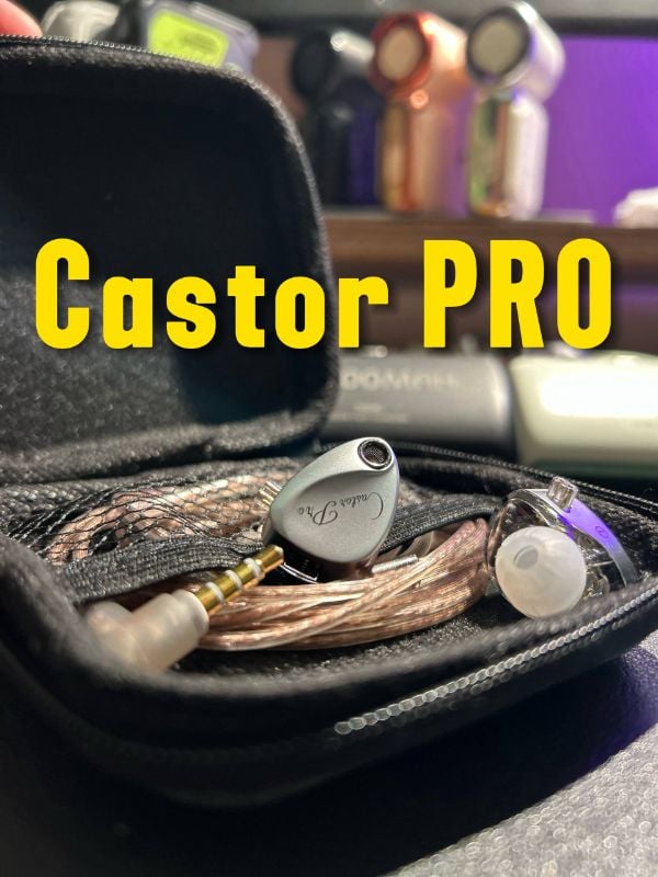 KZ Castor Pro
