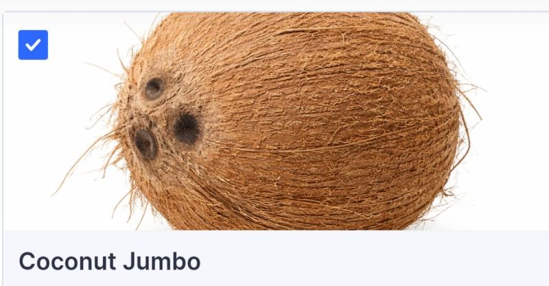 Jumbo Indian Cocunut Whole 1 pcs