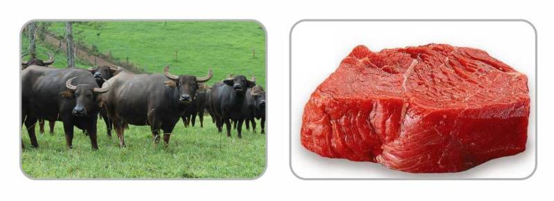 Fresh Frozen Buffalo Meat  - Kg 13.50