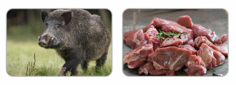 Fresh Frozen Wild Bore  Meat With Bone - Kg 8.00