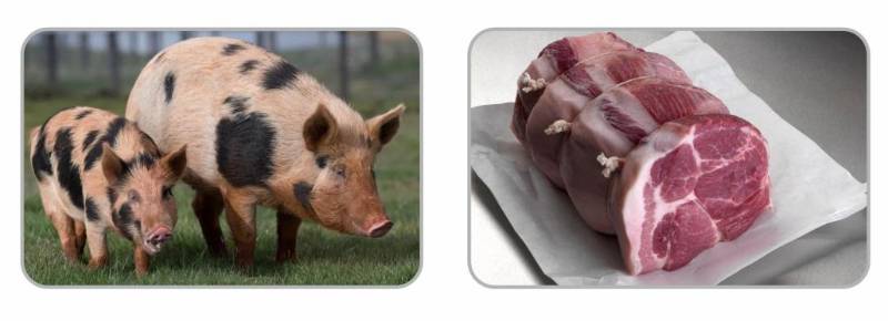 Fresh Frozen Pork Belley Cleaned - 1 Kg 7.50