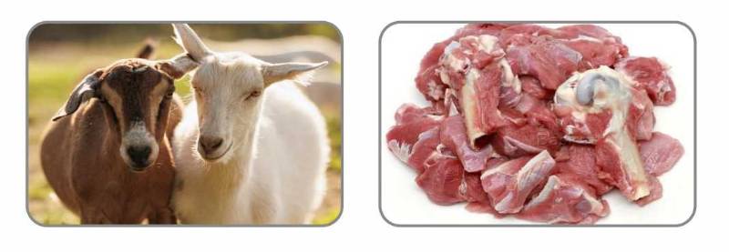 Fresh Frozen SPL Goat Meat With Bone - Kg 12.00