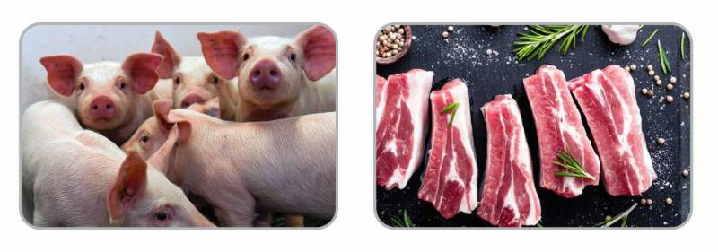 Fresh Frozen White Pork Meat With Bone - Kg 7.50