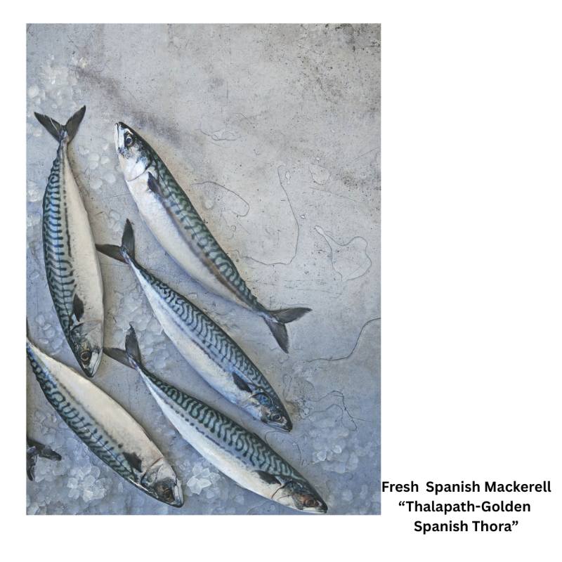 Fresh Spanish Mackerel  'Golden Thora' (Steak Cut)