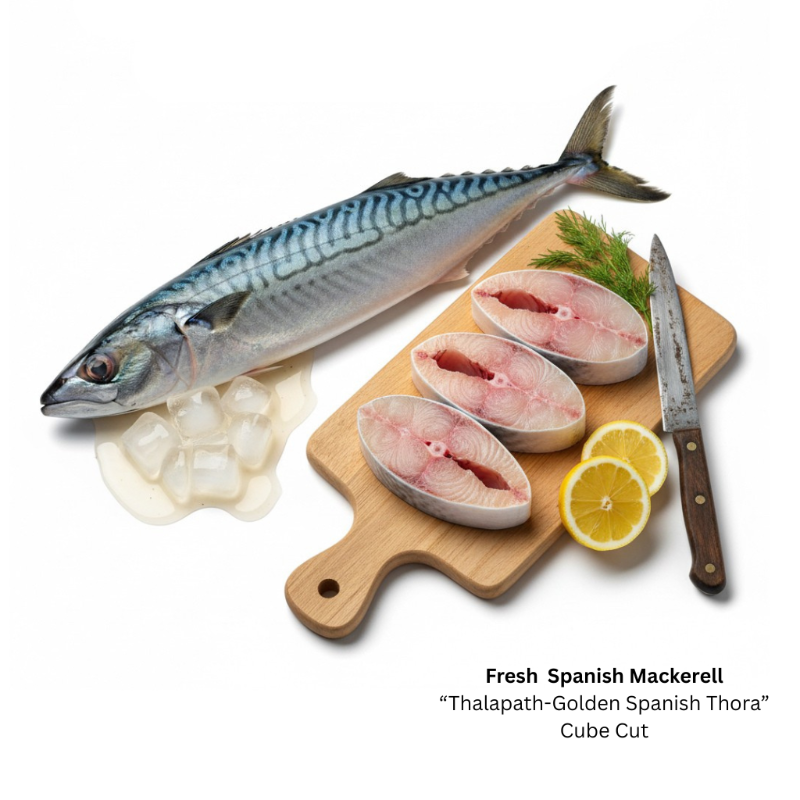 Fresh Spanish Mackerel  'Golden Thora' (Steak Cut)