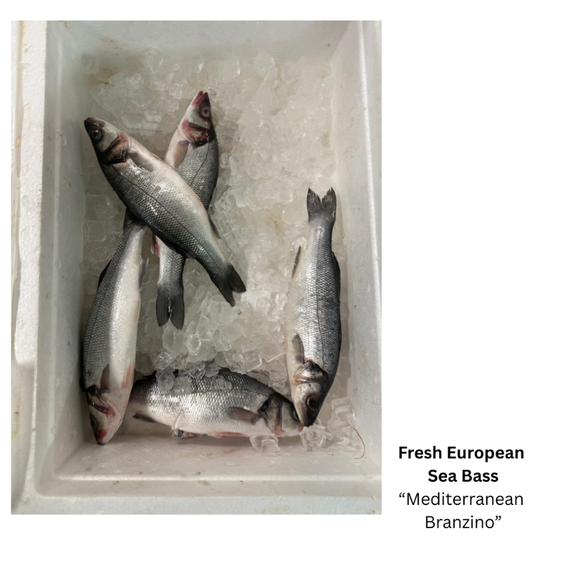 Fresh European Sea Bass  'Mediterranean Branzino' (Steak Cut)