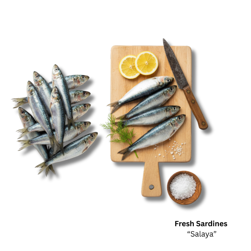 Fresh Sardines -Whole Fish